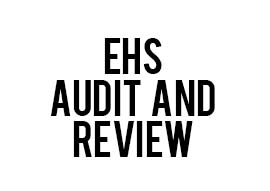 ehs audit and review